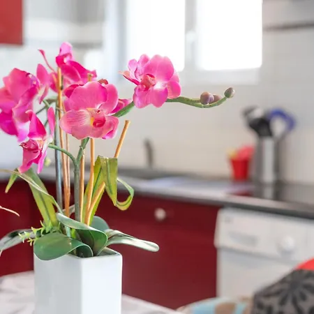 Logis Du Conflent Rodes