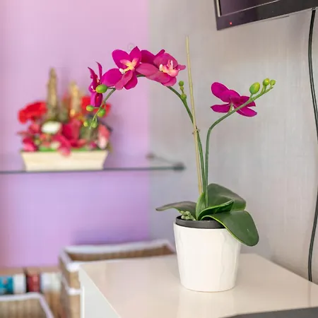 Casa vacanze Logis Du Conflent *