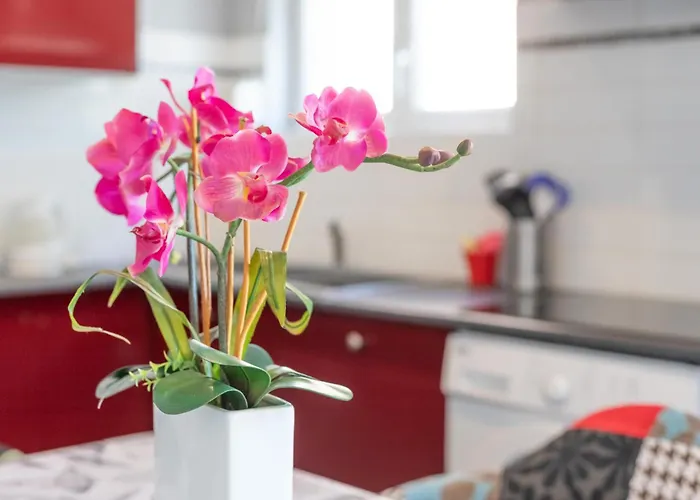 Logis Du Conflent Rodes