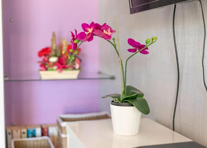 Feriehus Logis Du Conflent *